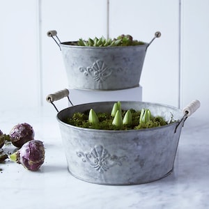 May include: Two galvanised metal planters with wooden handles. The top planter is filled with green succulents and the bottom planter is filled with green moss and small green plants.