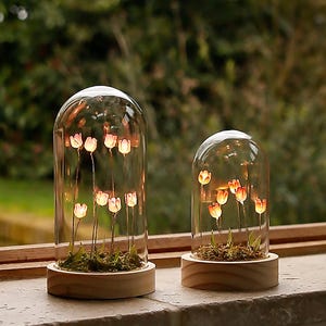 Illuminated Tulips Dome Decoration