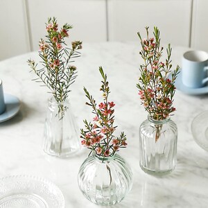 Clear Glass Bud Vases Set Of Three
