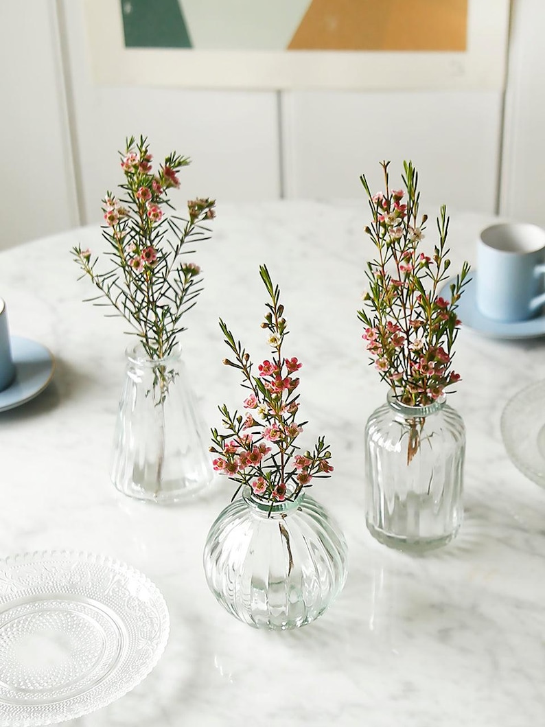 Clear Glass Bud Vases Set Of Three