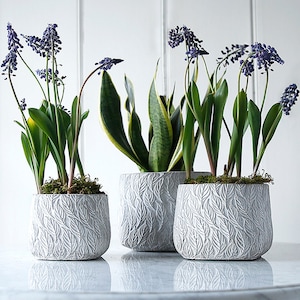 Concrete Leaves Pot Collection