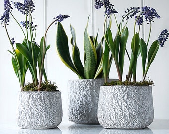 Concrete Leaves Pot Collection