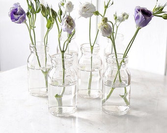 Mini Milk Bottle Glass Vase