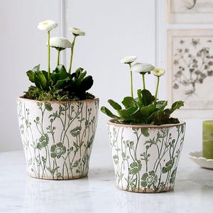 May include: Two white ceramic flower pots with a green botanical floral pattern, each containing a green plant with small white flowers. The pots have a tapered cylindrical shape and a distressed finish along the top and bottom rims.