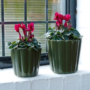 May include: Two green ceramic pots with ribbed sides, each containing a cyclamen plant with magenta flowers and green leaves. The pots are on a white windowsill in front of a window.