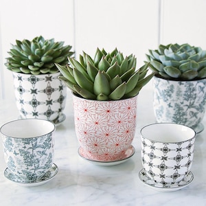 May include: Five ceramic plant pots with matching saucers, arranged in two rows. Three pots contain green succulent plants. The pots feature various patterns, including a red floral print, a black geometric lattice, and a green botanical design.