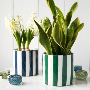 May include: Two cylindrical ceramic plant pots with vertical stripes, one navy and white, the other green and white, each containing plants. Small glass tealight holders in blue and green are scattered around.
