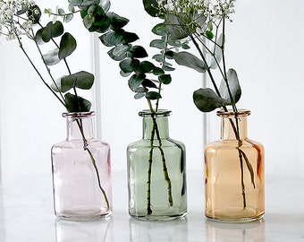 Apothecary Coloured Glass Bottle Vase