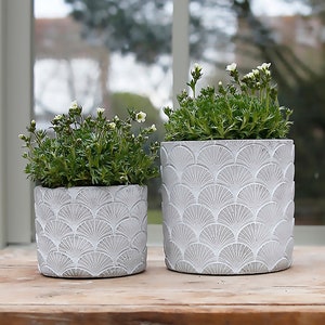 Fan Concrete Plant Pot