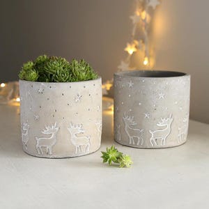 May include: Two grey concrete planters with a white reindeer and star design. The planters are filled with green succulents.