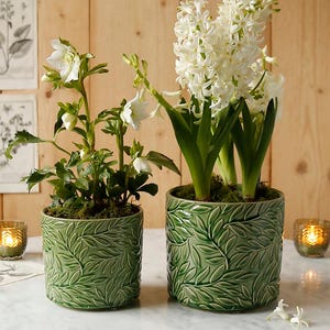 May include: Two potted plants with white flowers in green ceramic pots with a leaf design. The pots are on a marble surface, with two small candle holders and botanical prints in the background. The plants are a hyacinth and a hellebore.