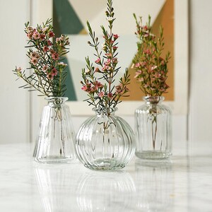 Clear Glass Bud Vases Set Of Three