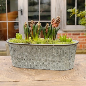 Deco Galvanised Oval Metal Planter
