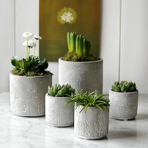 May include: Five grey concrete planters with a floral design, each holding a different type of green plant. The planters are arranged on a white marble surface.