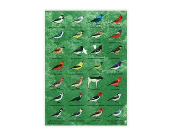 Little Birds of the Forest Clear Sticker Sheet | Stickers for Planning, Diary, Journaling