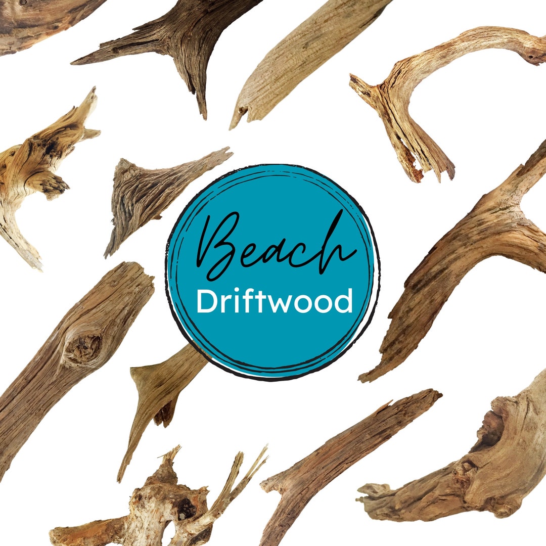 Commercial Use Beach Driftwood Clipart, Real Beach Driftwood, Beach ...