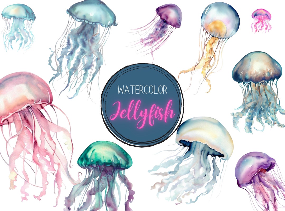 Watercolor Jellyfish PNG Clipart Bundle, Printable Jellyfish Wall Art ...