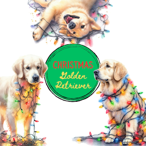 Clipart de perro / Paquete PNG de golden retriever navideño / Uso comercial y bricolaje