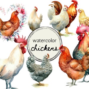 Lot de cliparts poulet aquarelle | 35 fichiers PNG à usage commercial | Graphiques d'animaux de la ferme pour impression à la demande