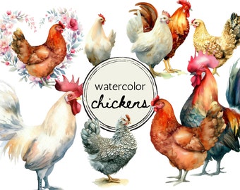 Watercolor Chicken Clipart Bundle: Farm Animal PNG Set