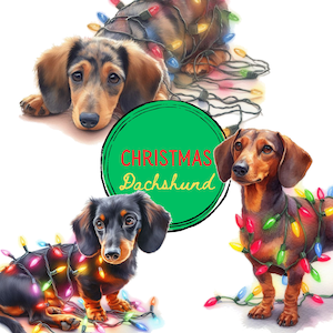Clipart chien | Ensemble PNG Noël teckel | Usage commercial et bricolage