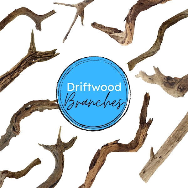 Commercial Use 25 Real Driftwood Branches Photos Transparent PNG Clipart