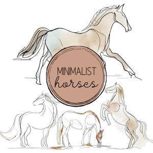 Clipart de caballo / Paquete PNG minimalista moderno / Uso comercial y bricolaje