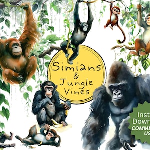 Watercolor Monkey Clipart Bundle – 17 Simian & Ape PNGs + 14 Jungle Vines – Commercial Use