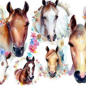 Clipart cheval | Oeuvre d'art de cheval | Lot de chevaux aquarelle PNG | Usage commercial et bricolage