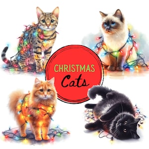 Clipart chat | Chat de Noël PNG | Usage commercial et bricolage