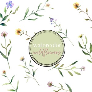Clipart di fiori selvatici / Pacchetto PNG di fiori selvatici ad acquerello / Uso commerciale e fai da te