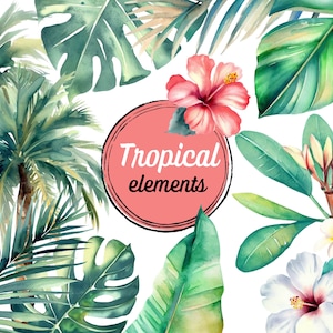 Tropical Clipart | Pacote de PNG de folhas e plantas tropicais vibrantes | Uso comercial e faça você mesmo