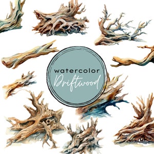 May include: Watercolor illustration of driftwood in various shapes and sizes. The driftwood is painted in shades of brown, beige, and gray. The text "watercolor Driftwood" is written in a cursive font on a light blue circle.