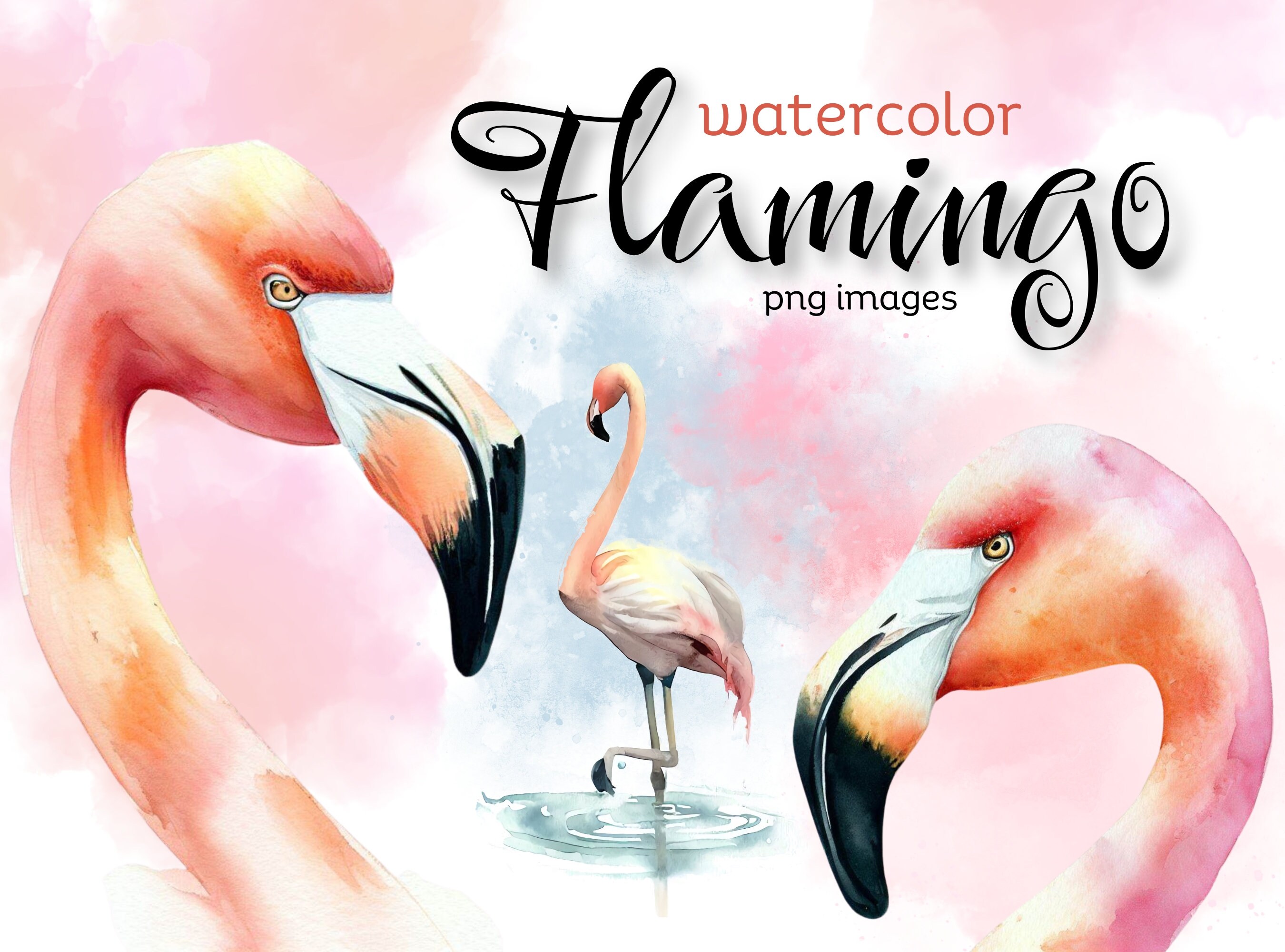 Flamingo Clipart | Watercolor Flamingo PNG Bundle | Commercial Use ...