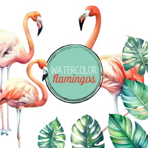 Flamingo Clipart | Watercolor Flamingo PNG Bundle | Commercial Use & DIY