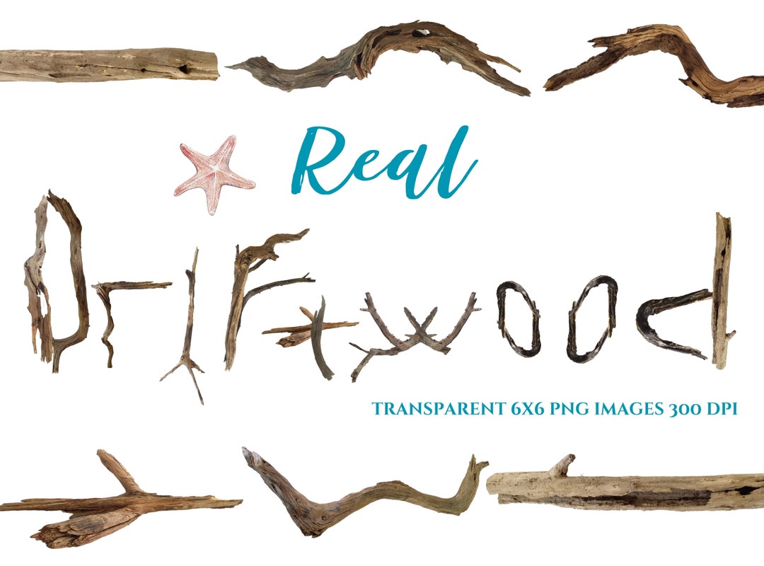 Commercial Use 25 Real Driftwood Branches Photos Transparent PNG