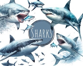 Shark Clipart | Ready-made Shark PNG Bundle | Commercial Use & DIY