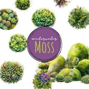 Clipart mousse | Lot belle mousse PNG | Usage commercial et bricolage