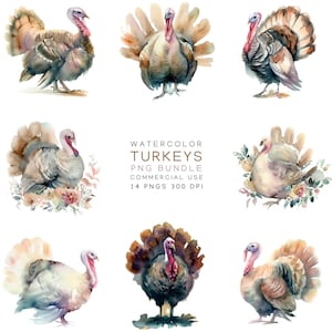 Thanksgiving Clipart Bundle | Watercolor Turkey PNGs Commercial Use | Fall Vibes PNG | Instant Download