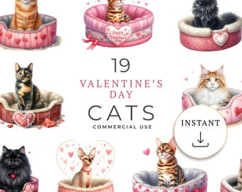 Valentine's Day Cats | Social Media Graphics | Unlimited Commercial Use