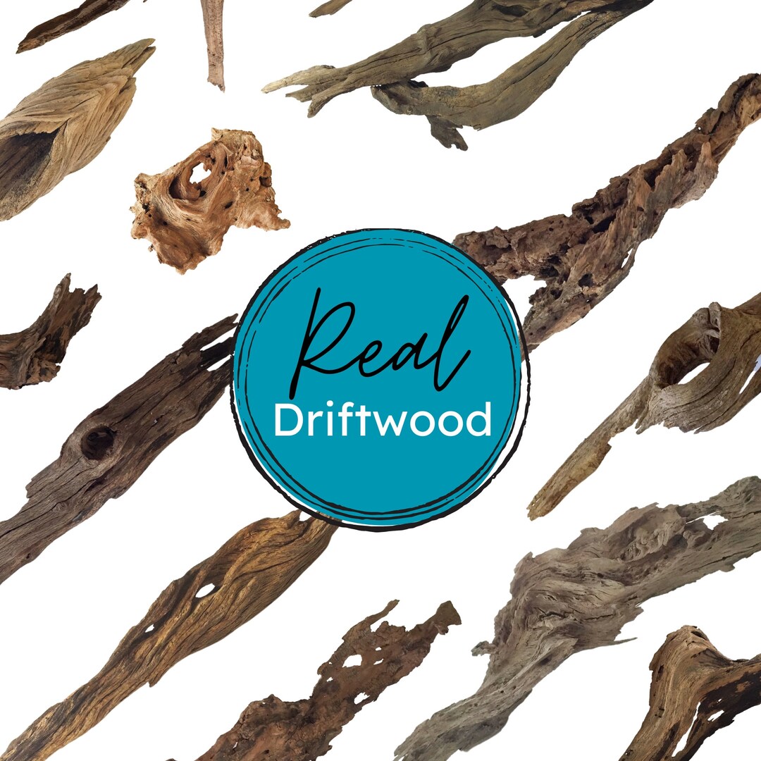 Commercial Use Real Wood Clipart, Realistic Driftwood Art, Printable ...