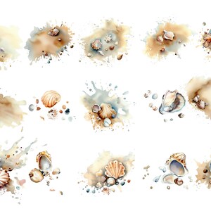K&ouml;nnte beinhalten: Zw&ouml;lf Aquarell-Illustrationen von Muscheln auf sandigem Hintergrund mit braunen und blauen Aquarell-Spritzen. Die Muscheln sind in verschiedenen Formen und Gr&ouml;&szlig;en, einige offen und einige geschlossen.