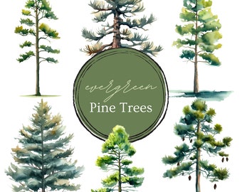 Watercolor Pine Tree Clipart: Forest Design Elements (PNG & SVG) (Digital Download)
