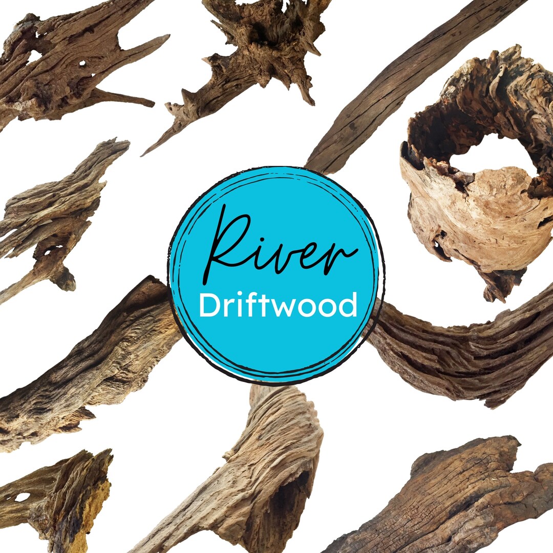 Commercial Use Driftwood Clipart, Real Driftwood Art, Realistic River