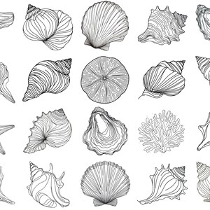 K&ouml;nnte beinhalten: Eine Sammlung von 20 Schwarzwei&szlig;-Zeichnungen verschiedener Muscheln, Seesterne und Korallen. Die Zeichnungen sind detailliert und realistisch und eignen sich perfekt f&uuml;r eine Vielzahl von kreativen Projekten.
