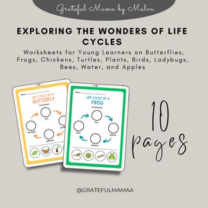May include: Two educational worksheets with the text "Life Cycle of a Butterfly" and "Life Cycle of a Frog". The worksheets are on a light gray background with the text "Exploring the Wonders of Life Cycles". The image also includes the text "10 pages".