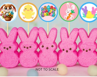 28 Topper Per Cupcake Pasqua Con Adesivi – Decorazioni Colorate A Tema Coniglio, Uovo E Pulcino - 4