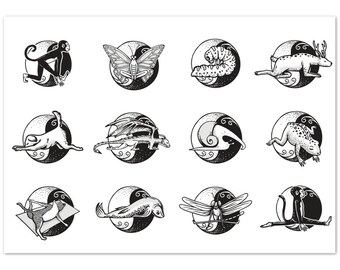 ヨガ動物の空白グリーティングカード 10 枚 | あらゆる機会に使える空白カードのセット | それぞれの陰ヨガのポーズをとる動物たち