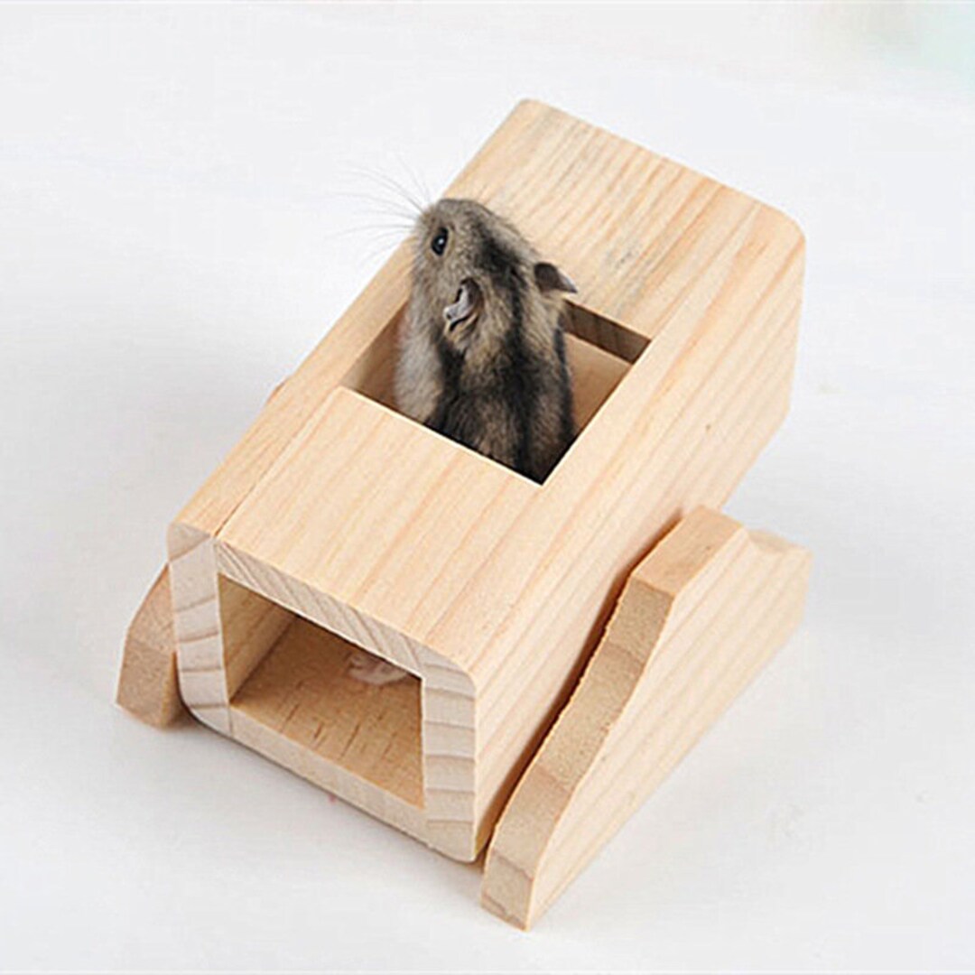 Hamster Bucket Bucket Rocker Hamster Toys Daily Supplies Small - Etsy