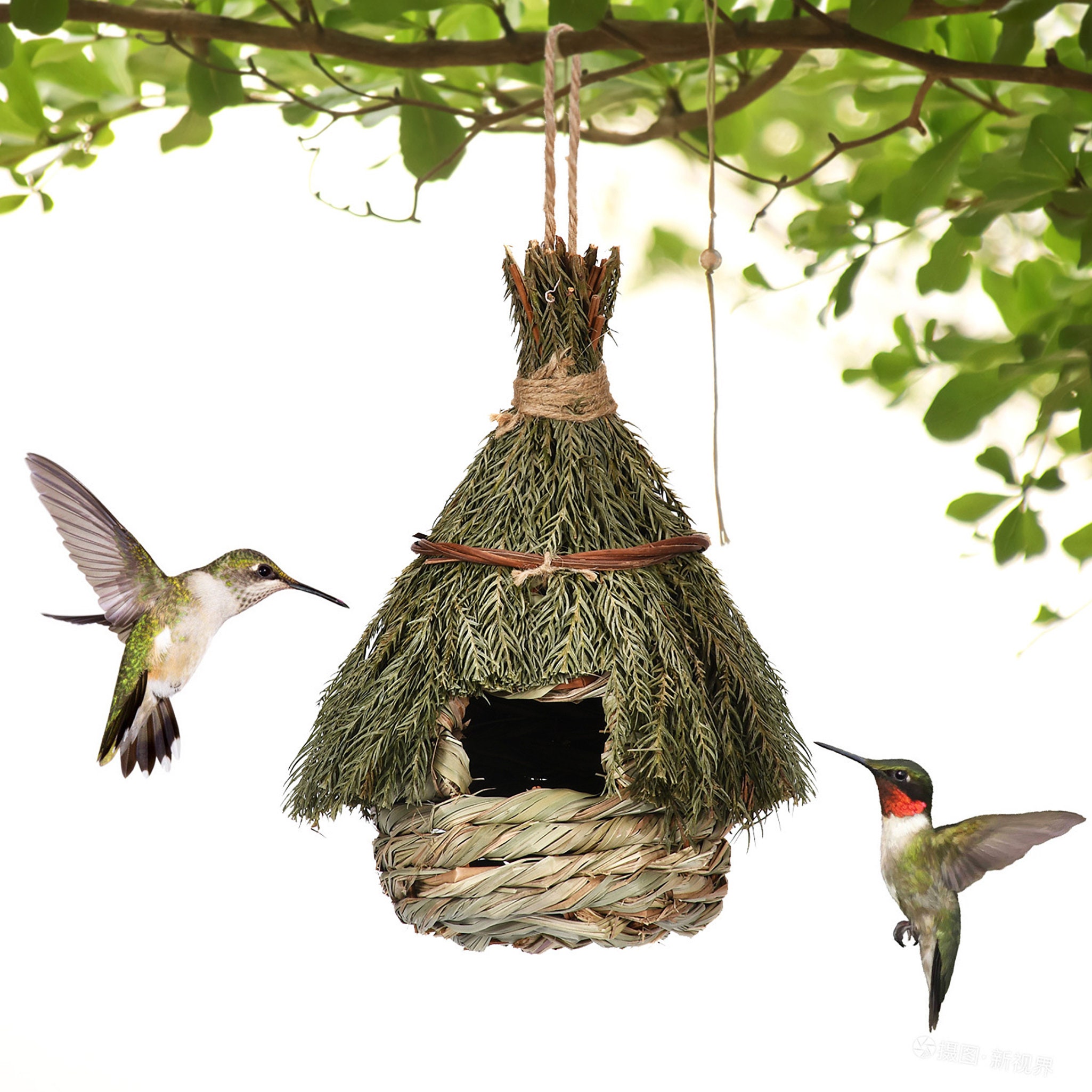 Classique suspendu extérieur jardin Bird House en bois massif Nest for  Colibri - Chine Bird Nest et maison d'oiseaux en bois prix